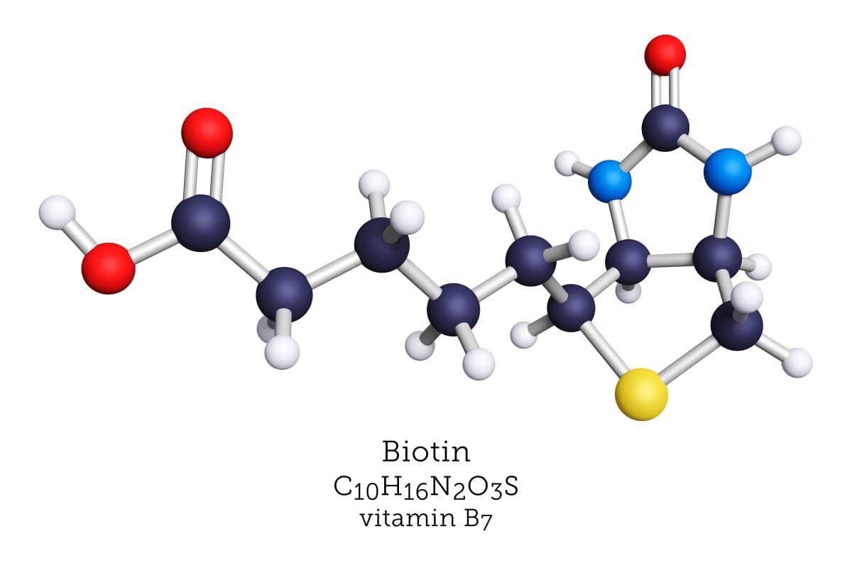 Biotin Molekül 