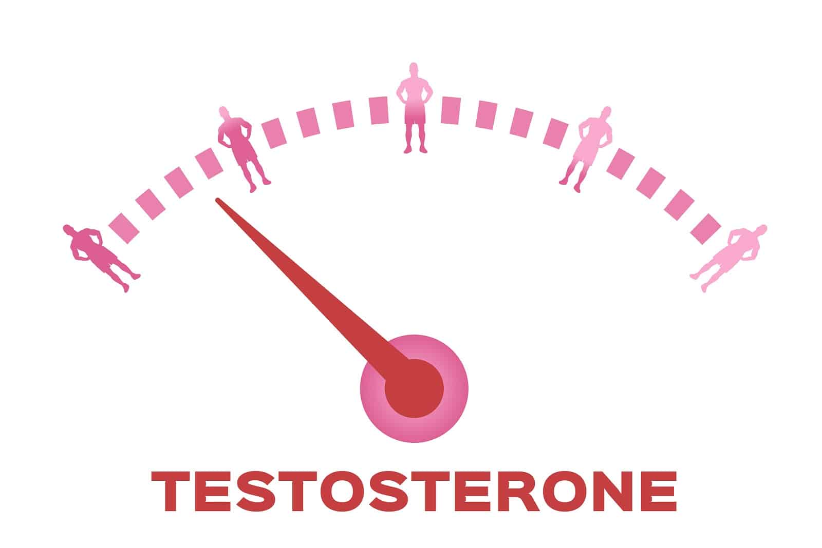 Testosteron Level und Bartwuchs