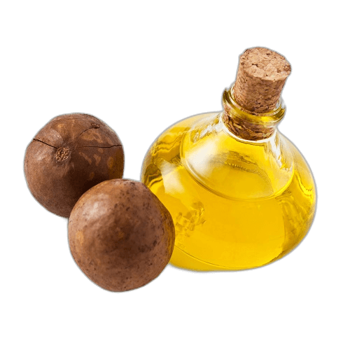 Macadamia Öl in HBG Kit